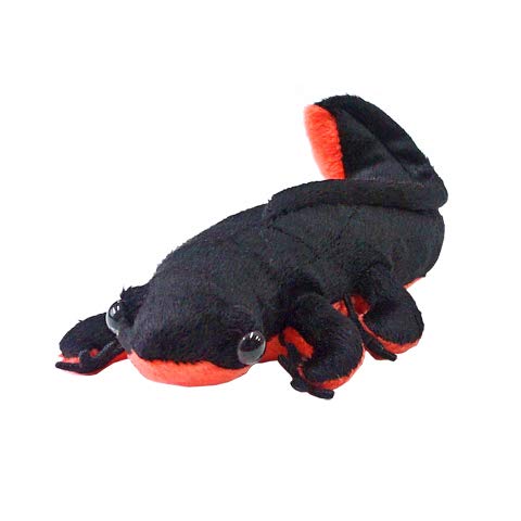 TST ADVANCE アカハライモリ ぬいぐるみ BLACK サイズ:18cm
