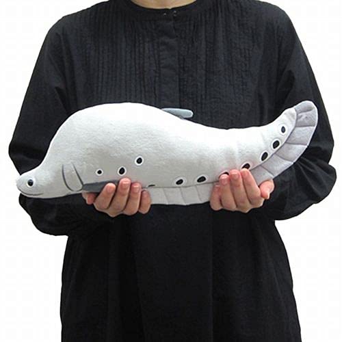 TSTアドバンス わくわく図鑑<淡水> ナイフフィッシュ 40cm