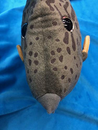 ティーエスティーアドバンス 釣り人 カワハギ ぬいぐるみ 9354