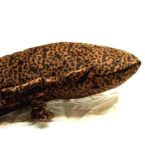 オオサンショウウオ ぬいぐるみ 63cm