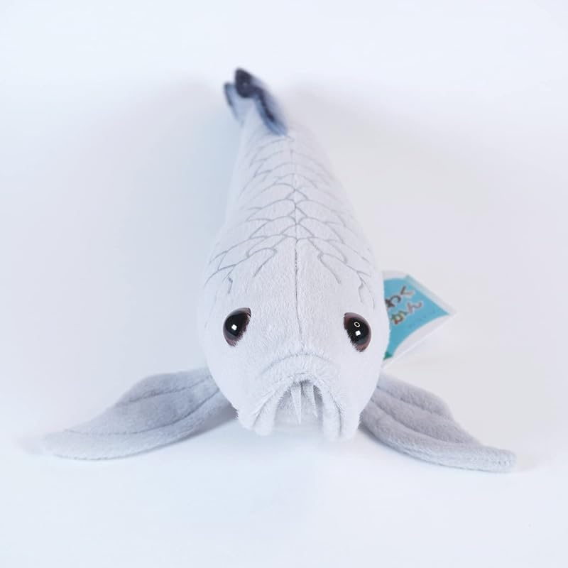 TSTアドバンス わくわく図鑑<淡水> シルバーアロワナ 35cm
