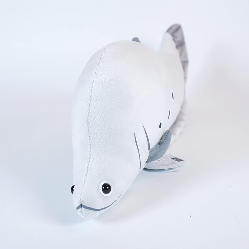 TSTアドバンス わくわく図鑑<淡水> ナイフフィッシュ 40cm