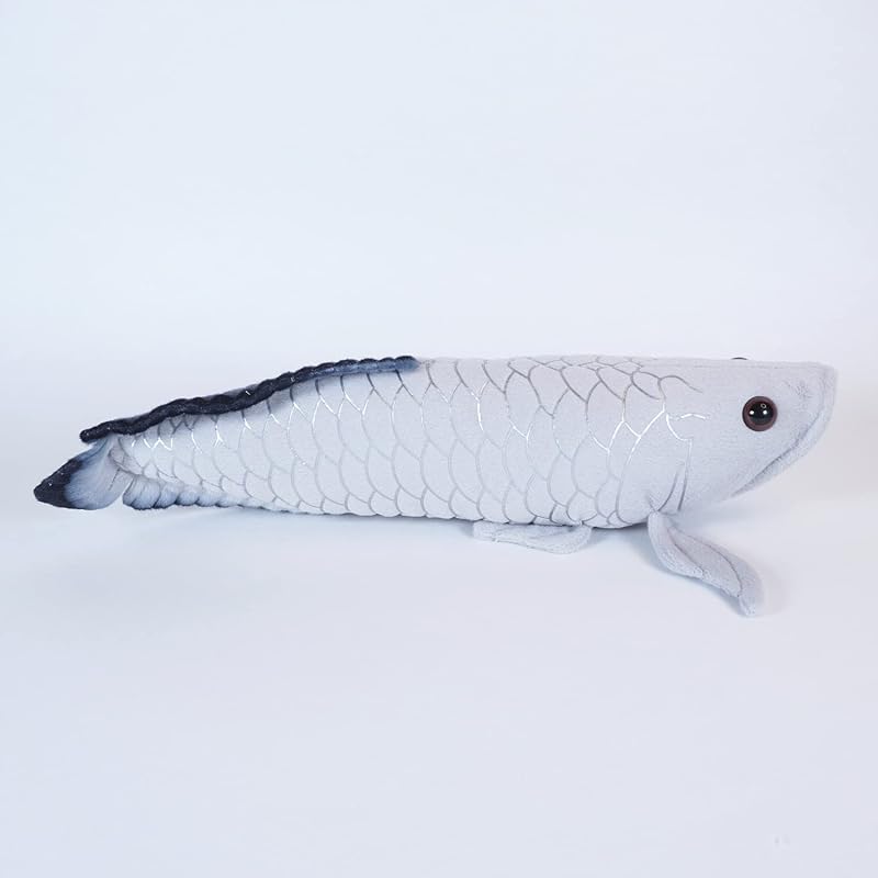 TSTアドバンス わくわく図鑑<淡水> シルバーアロワナ 35cm