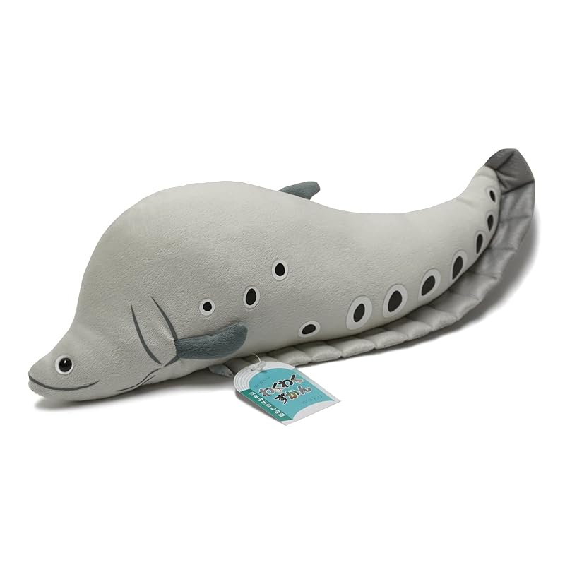 TSTアドバンス わくわく図鑑<淡水> ナイフフィッシュ 40cm