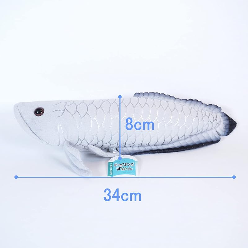 TSTアドバンス わくわく図鑑<淡水> シルバーアロワナ 35cm