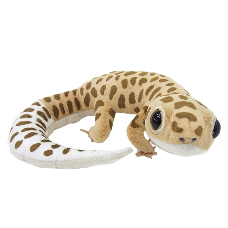 TSTアドバンス リアル・ヒョウモントカゲモドキ