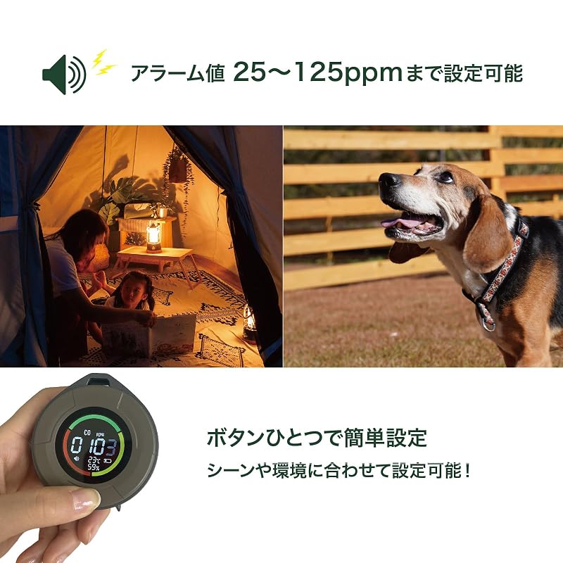 沢田テント 一酸化炭素チェッカー スタンダードモデル 充電式 COC2